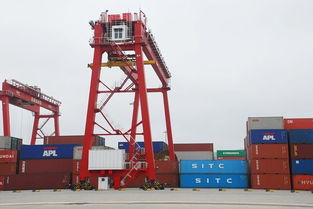 山东到海口国内集装箱海运专线运输公司