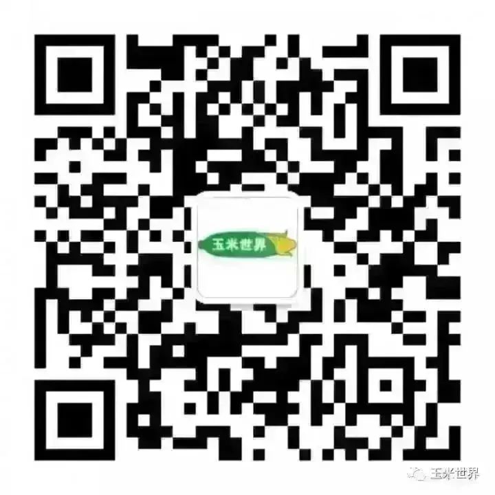 南北港口玉米价格暂稳,短期港存供给支撑价格