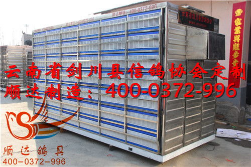 云南省剑川县信鸽协会定制 放飞笼 训放笼 赛鸽集装箱产品展示