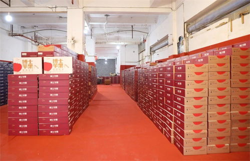 水果批发多个好去处 观山湖这个交易中心即将开业