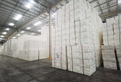 山东国际大宗商品交易市场指定交收仓库总面积超70万㎡