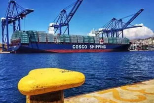 又要下手 美国 关注 中远海运获取长滩码头控制权交易