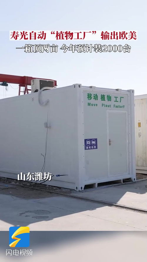 种菜果然是山东人天赋技能 寿光自动 植物工厂 输出欧美今年预计推广2000台