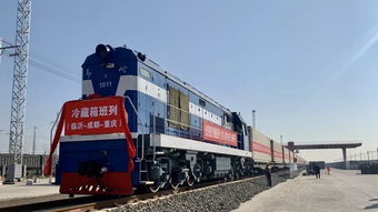 冷藏集装箱班列首发 临沂冷冻食品新鲜走进成都 重庆