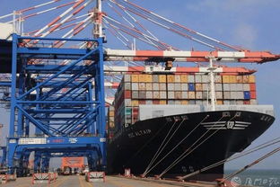 刚刚,厦门晒出上半年经济 成绩单 这些数据亮了