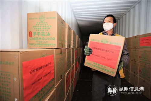 云南开行农产品集装箱专列对口驰援湖北咸宁