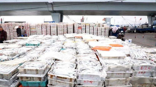 海鲜市场的 傲娇 价格帮你问好了,看完别流口水