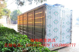 翱翔 放飞笼 训放笼 赛鸽集装箱产品展示