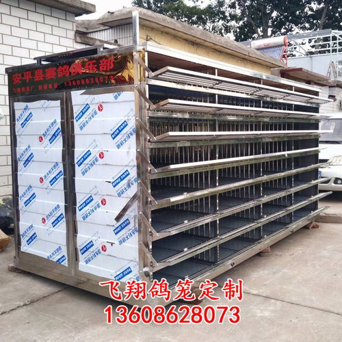 飞翔鸽笼 不锈钢放飞笼 训放笼 赛鸽笼 赛鸽集装箱产品展示