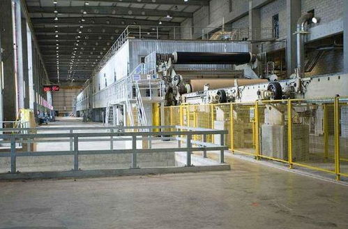 了解到内地纸张市场的巨大潜力,她成立公司,成就纸业王国