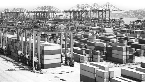 疫情下,物流新趋势带来机遇