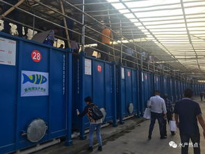 集装箱养殖要火了吗 各地的水产站都来观摩,还成立了联盟,或将又是一个新风口