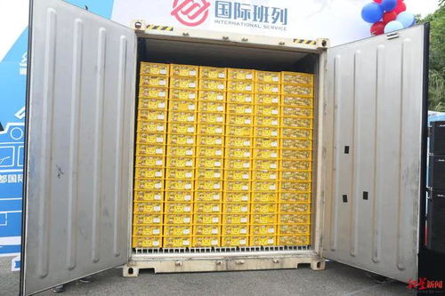 成都,在 双向奔赴 里链接世界