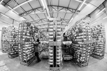 山西农民报数字报