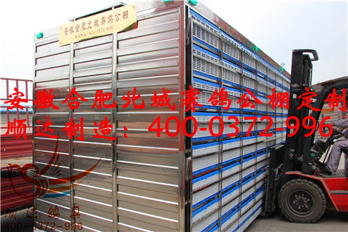 安徽合肥北城赛鸽公棚定制 放飞笼 赛鸽集装箱 鸽笼产品展示