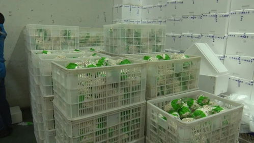 省直机关支援队为我县企业 牵线搭桥 扩宽产品购销渠道