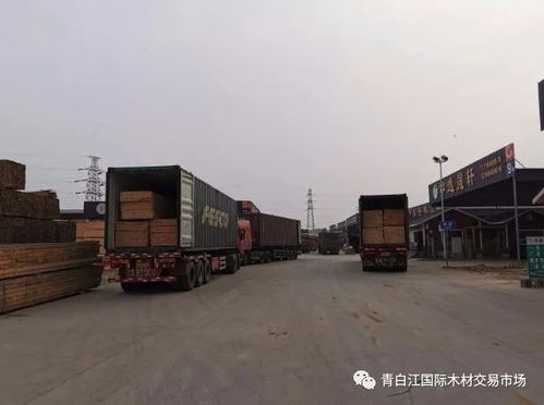 青白江国际木材交易市场 早谋划早部署 缓解卸货压力