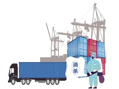 济宁市防控非冷链进口集装箱风险 闭环管理 全环节追溯