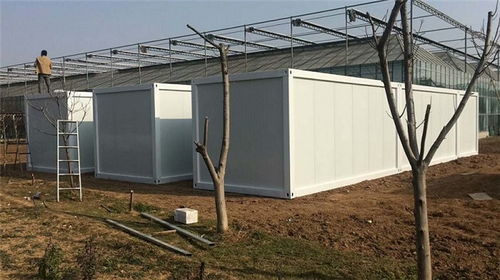 拼装箱框架批发与租赁指南 邢台、文安地区的优选方案