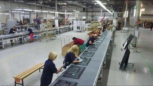 成都青白江 以开放产业为核心，推动集装箱购销高质量发展